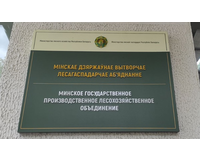 Рабочее совещание в Минском ГПЛХО