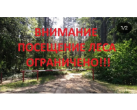Ограничение на посещение лесов в Червенском районе