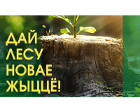 Акция