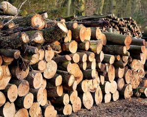 Дрова топливные