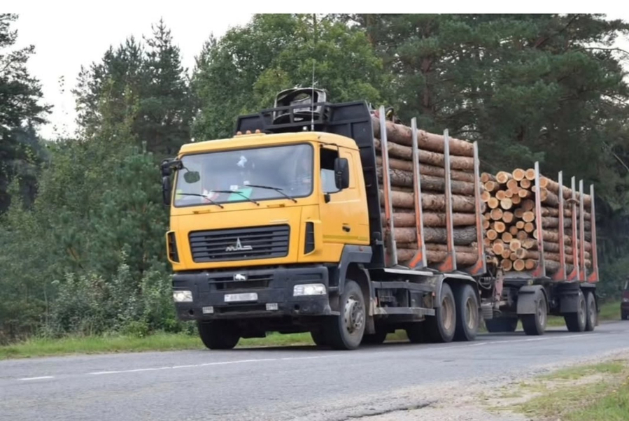 Лесовозы и  дороги. В Минлесхозе взяли на контроль информацию о 