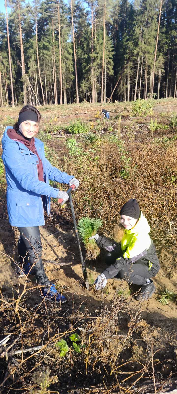 IMG b00efb4afc389e66145a3268445e0059 V