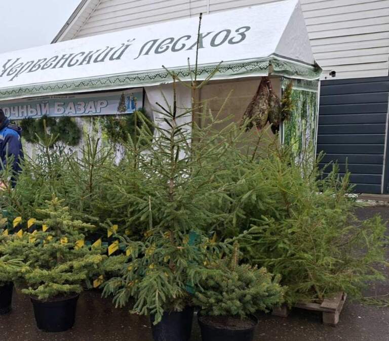 IMG f0ba2c02a7b07c3a6545257d0b414a7c V