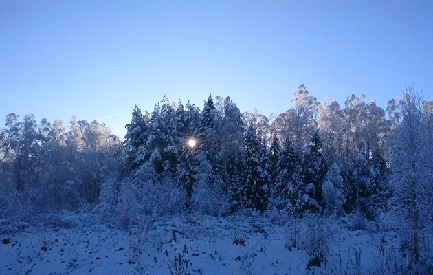 Охотничье хозяйство