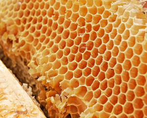 Продукция побочного пользования